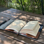 本を読むことが、世界で再評価されているらしい・・・